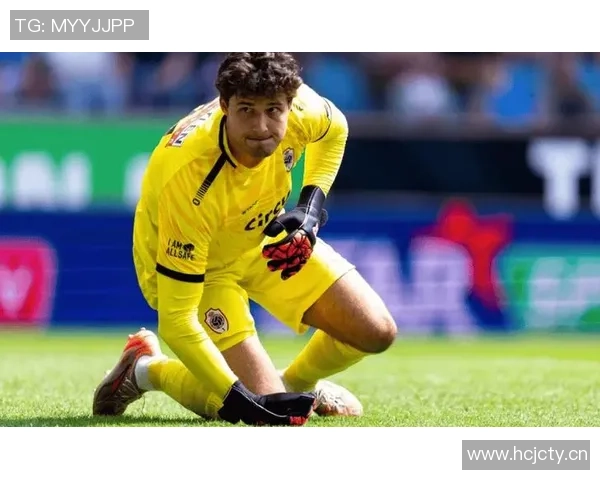 舒梅切尔：对拉门斯的评价需谨慎不宜施加过多压力